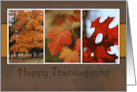 Happy Thanksgiving, Fall Leaves card