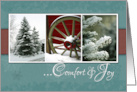 Comfort and Joy Christmas Card with Snow and Trees Photos card