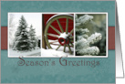 Seasons Greetings from Company Business with Snow and Trees card