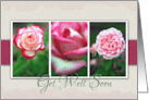 Get Well Soon with Pretty Rose Snapshot Photos card