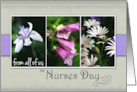 Happy Nurses Day from all of us with Purple Flower Snapshots card