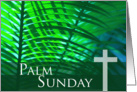 Palm Sunday Card