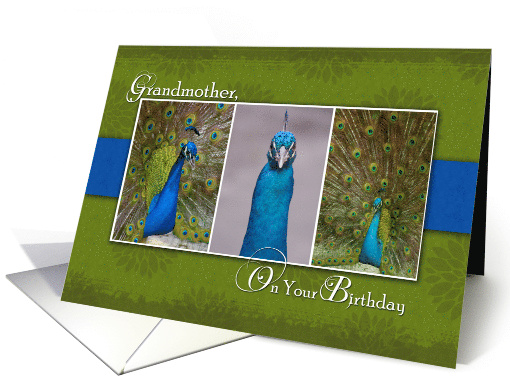 Peacock Birthday Card for Grandmother card (1000363)