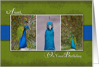 Peacock Photos Birthday Card for Aunt card