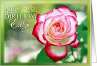 Happy Birthday, Evelyn- Pretty Rose in Garden card