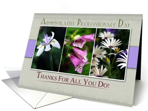 Adnministrative Professionals Day- Trio of Purple Flowers card