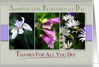 Adnministrative Professionals Day- Trio of Purple Flowers card