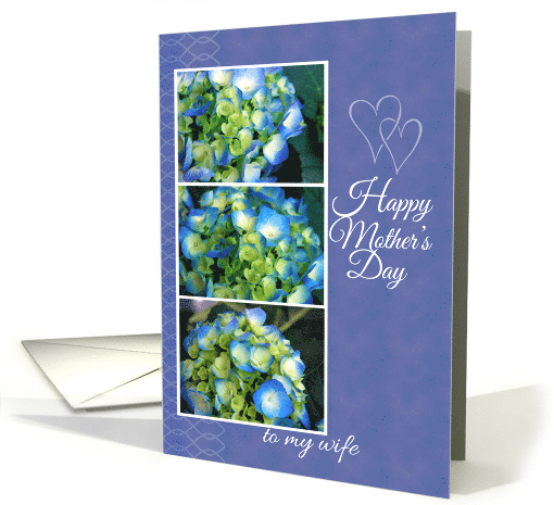 Mothers Day for Wife from Husband with Blue Hydrangea Photos card