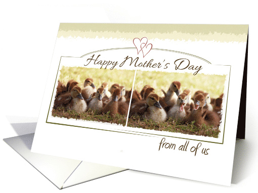 Happy Mothers Day from all of us with Bundle of Cute Baby... (1096650)
