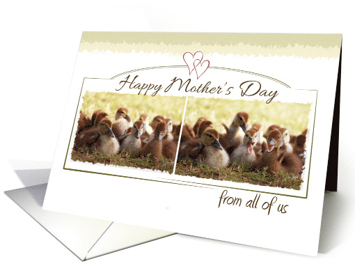 Happy Mothers Day from all of us, Cute Baby Ducks Photo card (1096650)