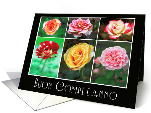 Buon Compleanno Happy Birthday in Italian with Rose Photos card