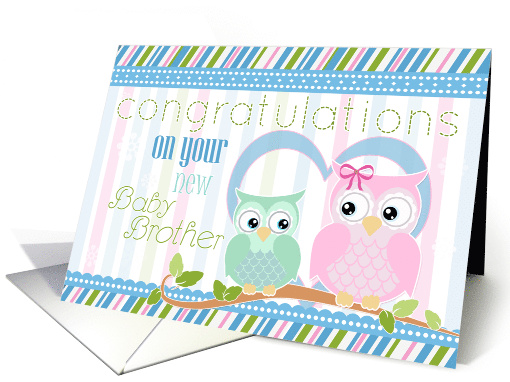 Congratulations on New Baby Brother with Two Cute Owls card (1142054)