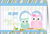 Congratulations on New Baby Brother with Two Cute Owls card