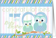 Congratulations on New Baby Brother with Two Cute Owls card