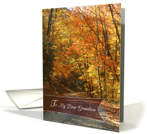 Dear Grandson Happy Thanksgiving with Fall Trees card (1151668)
