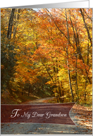 Dear Grandson Happy Thanksgiving with Fall Trees card