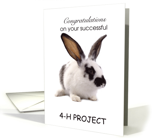 Congratulations - Successful 4-H project- Rabbit card (1244430)