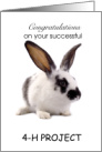 Congratulations - Successful 4-H project- Rabbit card