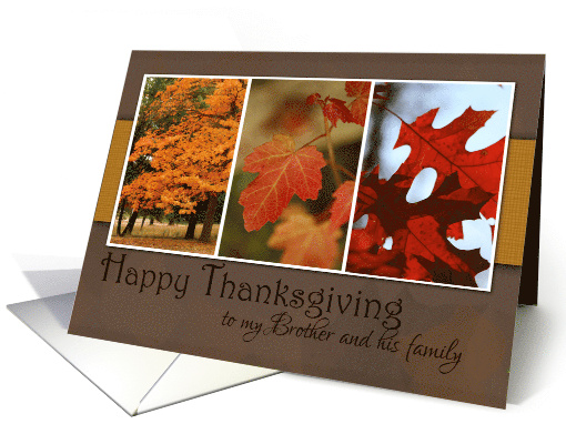 Trio of Fall Foliage for Thanksgiving for Brother and Family card