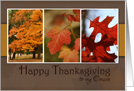 Trio of Fall Foliage. Happy Thanksgiving for Cousin card