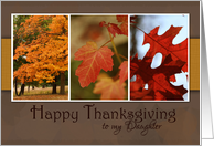 Trio of Fall Foliage. Happy Thanksgiving for Daughter card