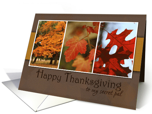 Trio of Fall Foliage Photos for Happy Thanksgiving for secret pal card