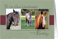 Great Granddaughter Birthday with Trio of Horses Photos card