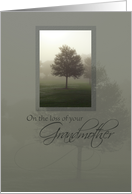 Condolences On Loss of Grandmother with Misty Tree card