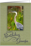 Happy Birthday Grandpa with Blue Heron Bird Photo card
