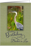 Happy Birthday to My Brother-in-Law with Blue Heron Photo card
