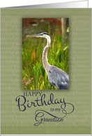 Happy Birthday to My Grandson with Blue Heron Photo card
