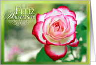 Parabens Feliz Aniversario Happy Birthday Portuguese White Pink Rose card