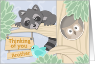 Thinking of you Brother at Summer Camp with Woodland Creatures card