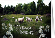 Blessed Imbolc,...