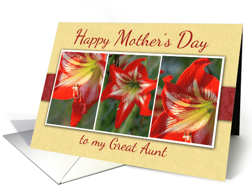 Happy Mothers Day to my Great Aunt with Amaryllis Flowers Photos card