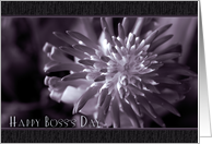 Happy Boss’s Day with Close Up Bromeliad Photo card