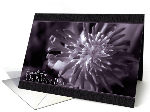 From all of us on Boss's Day- Close Up Bromeliad Photo card (1334194)