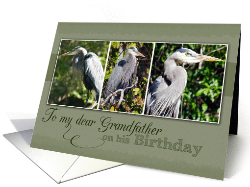 To My dear Grandfather on his Birthday-Blue Heron Photos card