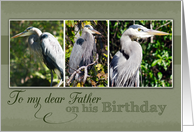 To My Dear Father on his Birthday with Blue Heron Photos card