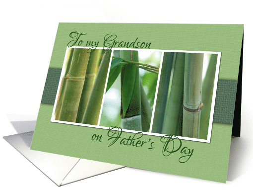 To My Grandson on Fathers Day with Bamboo Photos card (1376194)