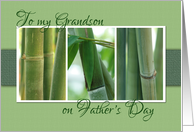 To My Grandson on Fathers Day with Bamboo Photos card