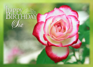 Happy Birthday Sue...