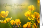 Tulip Spring Equinox Blessings card