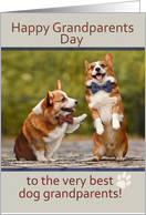 Happy Grandparents Day from the Dogs Corgis card