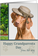 Happy Grandparents...