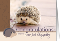 Congratulations on your new pet hedgehog card