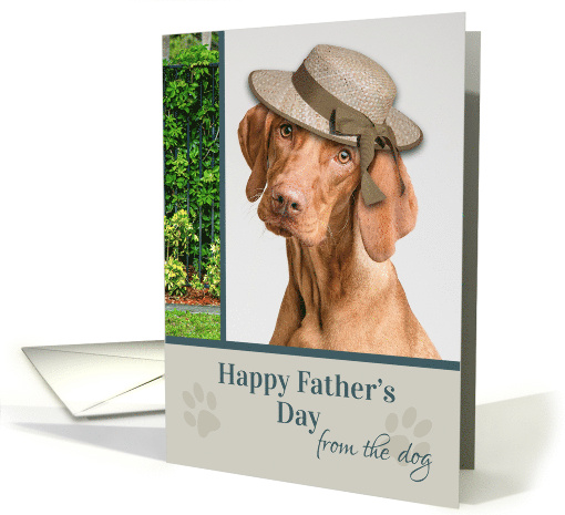 Happy Fathers Day from the Dog Wearing Hat card (1683812)