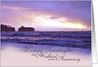 To a Wonderful Granddaughter and Husband on their Anniversary Beach card