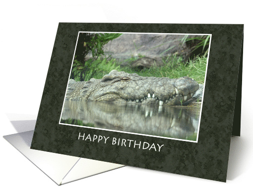 Happy Birthday with Alligator and Reflection in Pond card (1829622)