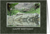 Happy Birthday with Alligator and Reflection in Pond card